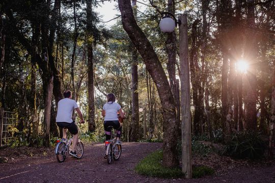 Um homem e uma mulher andam de bicicleta por uma trilha na floresta.
