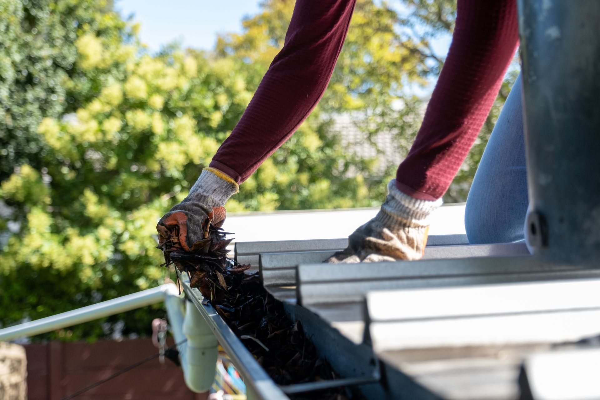 Person cleaning a gutter, removing debris with gloved hands. Bright daylight, trees in background.