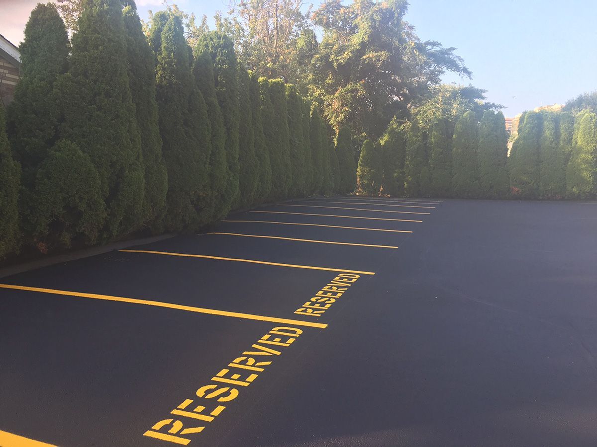 Empty asphalt parking lot with yellow reserved parking markings beside tall green hedges