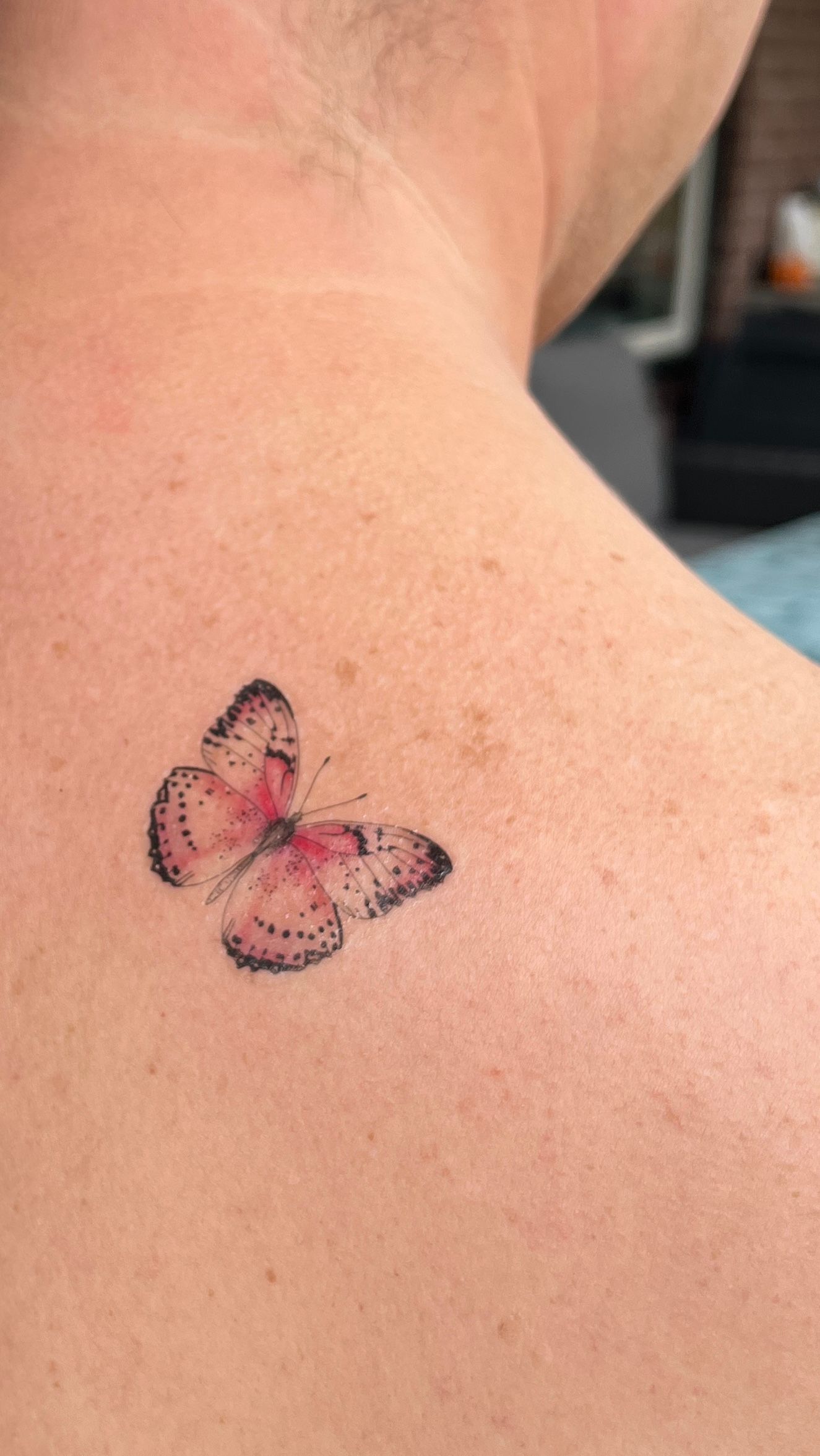Tijdelijke tattoo set 7 hommeltjes