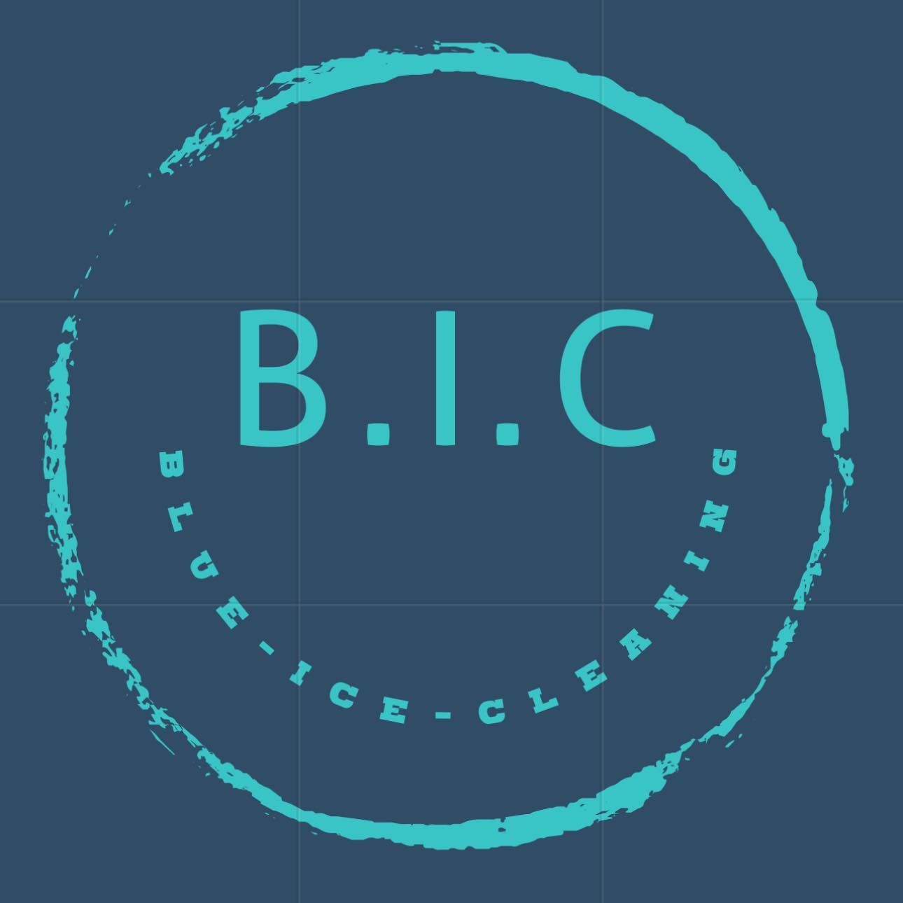 Blue Ice Cleaning Service Blue Ice Cleaning Service