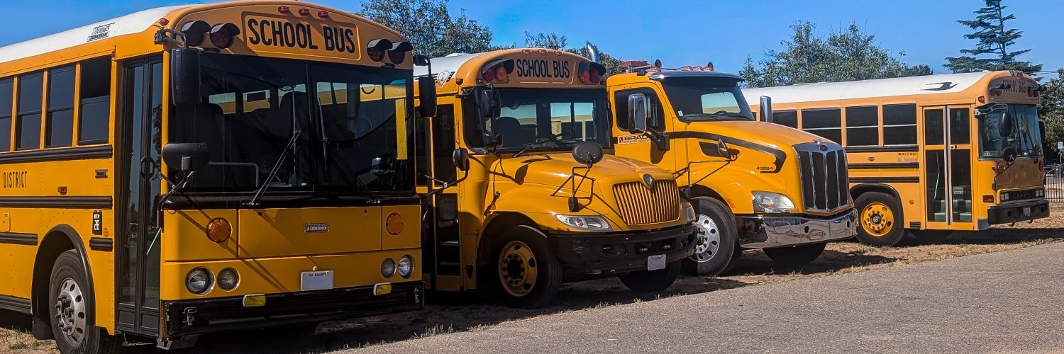 school bus