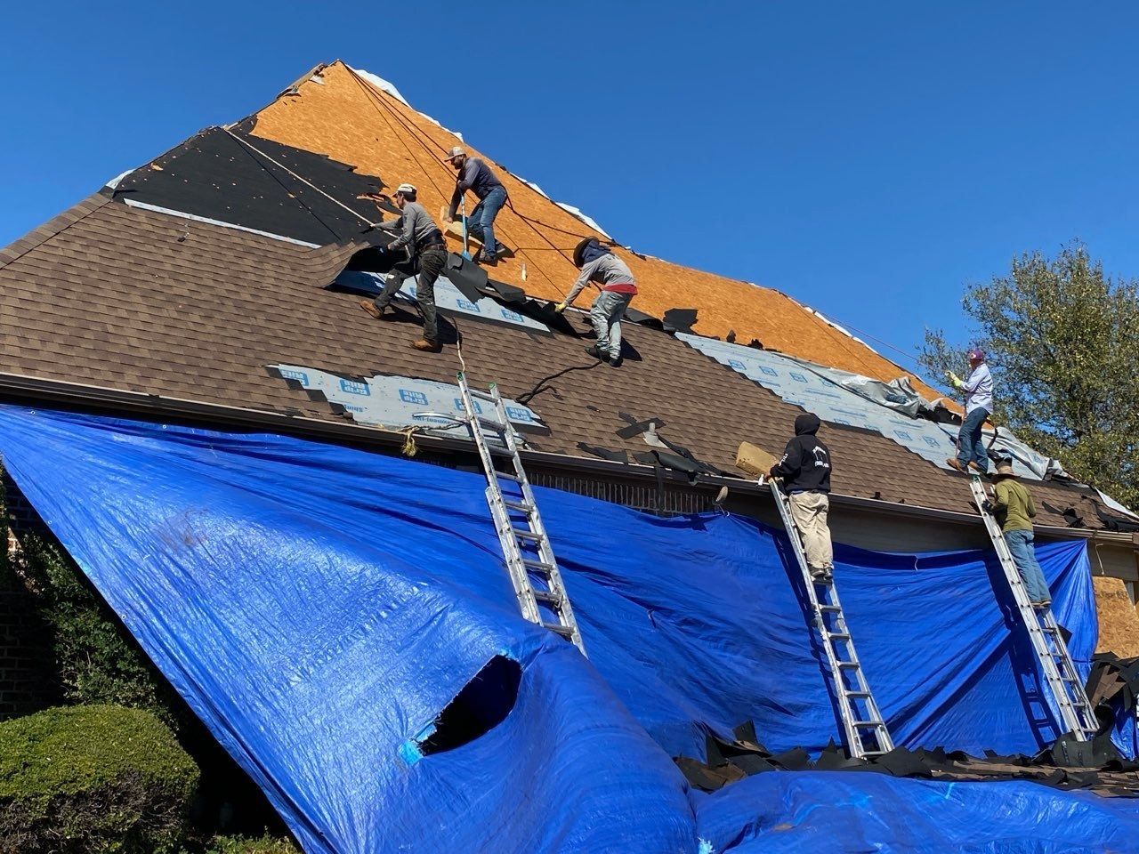 Roofers replacing shingles on a house with a blue tarp covering the bottom. Ladders are in place.
