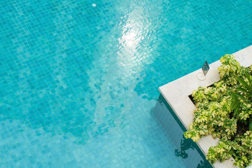 A Swimming Pool With a Plant in the Middle of It — Pool Maintenance in Pacific Heights, QLD