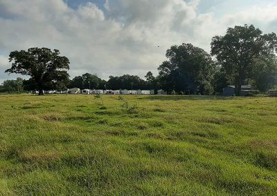 Grassy field with trees under a cloudy sky; in the distance, a line of small, white buildings.