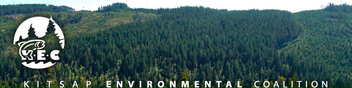 Green Mountain  forest in the background