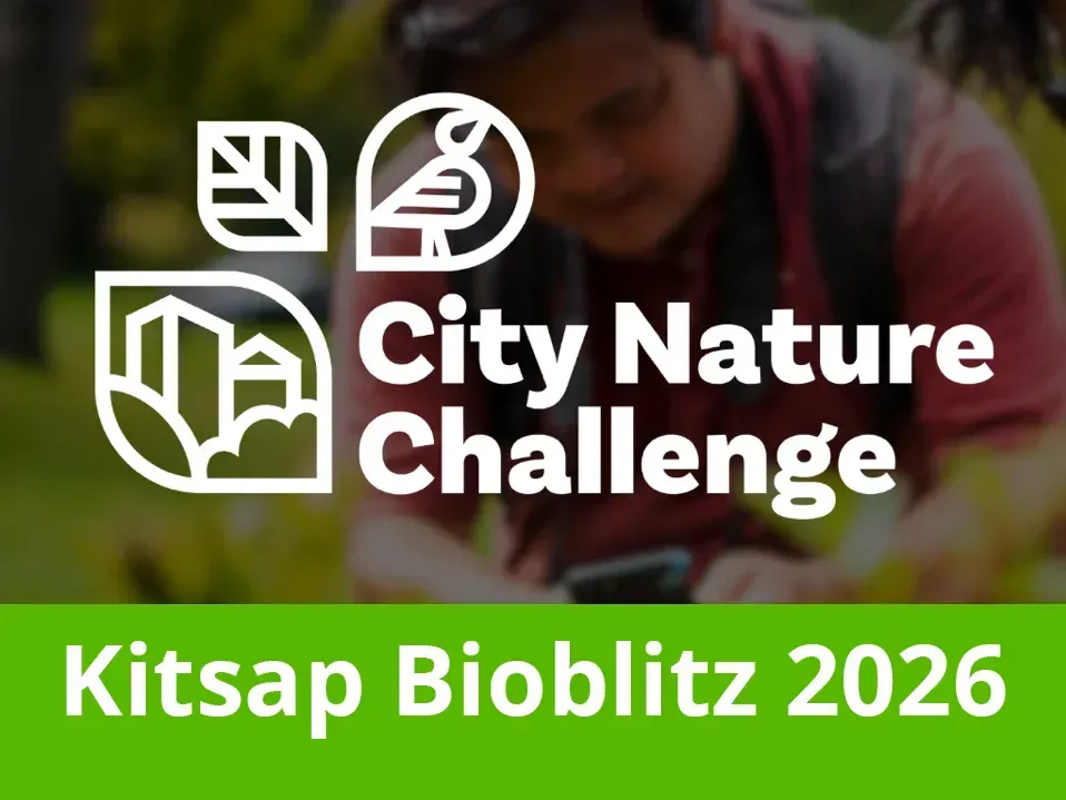 City Nature Challenge- Kitsap Bioblitz 2026