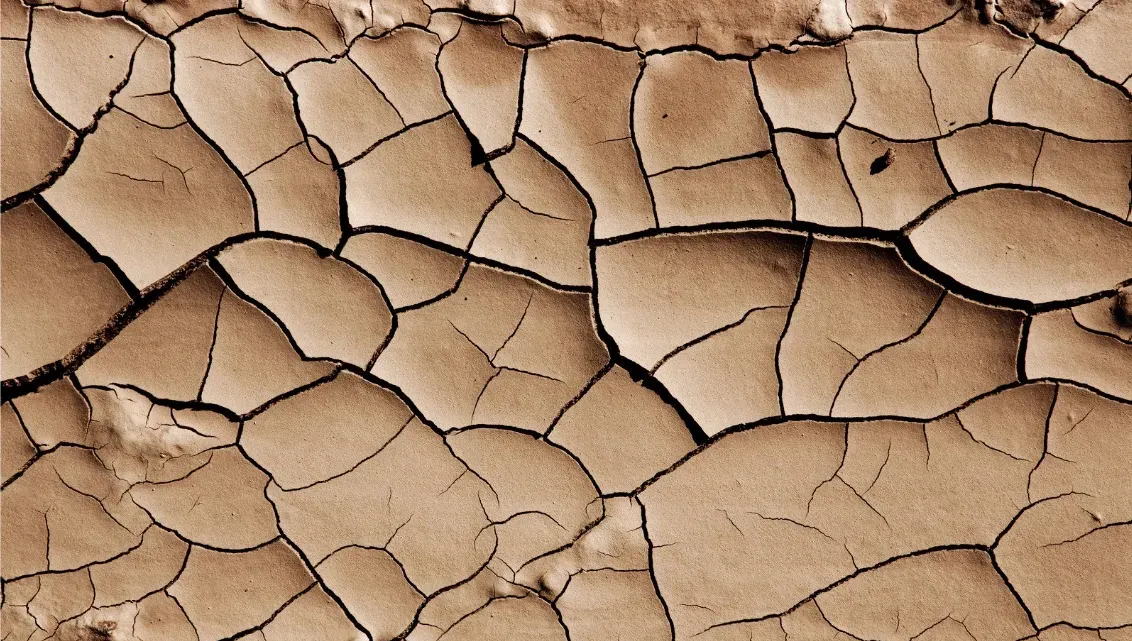 Cracked mud