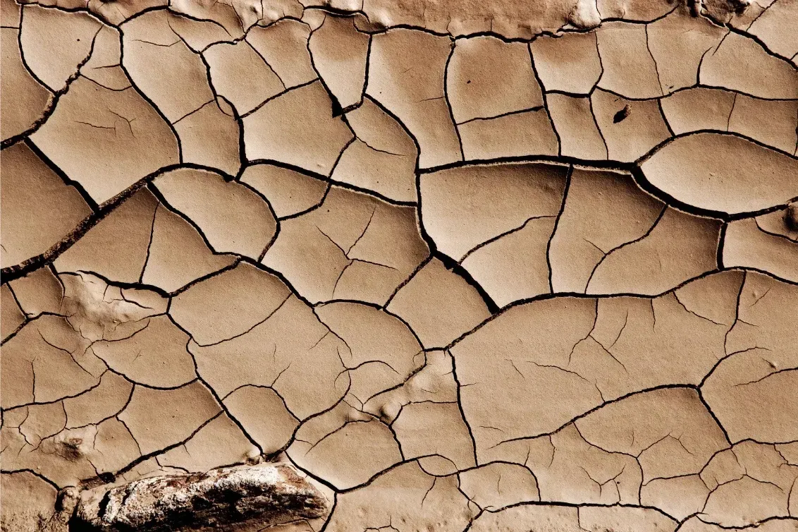 Cracked mud