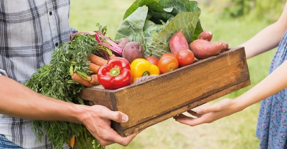 Farm crate full of fresh vegetables