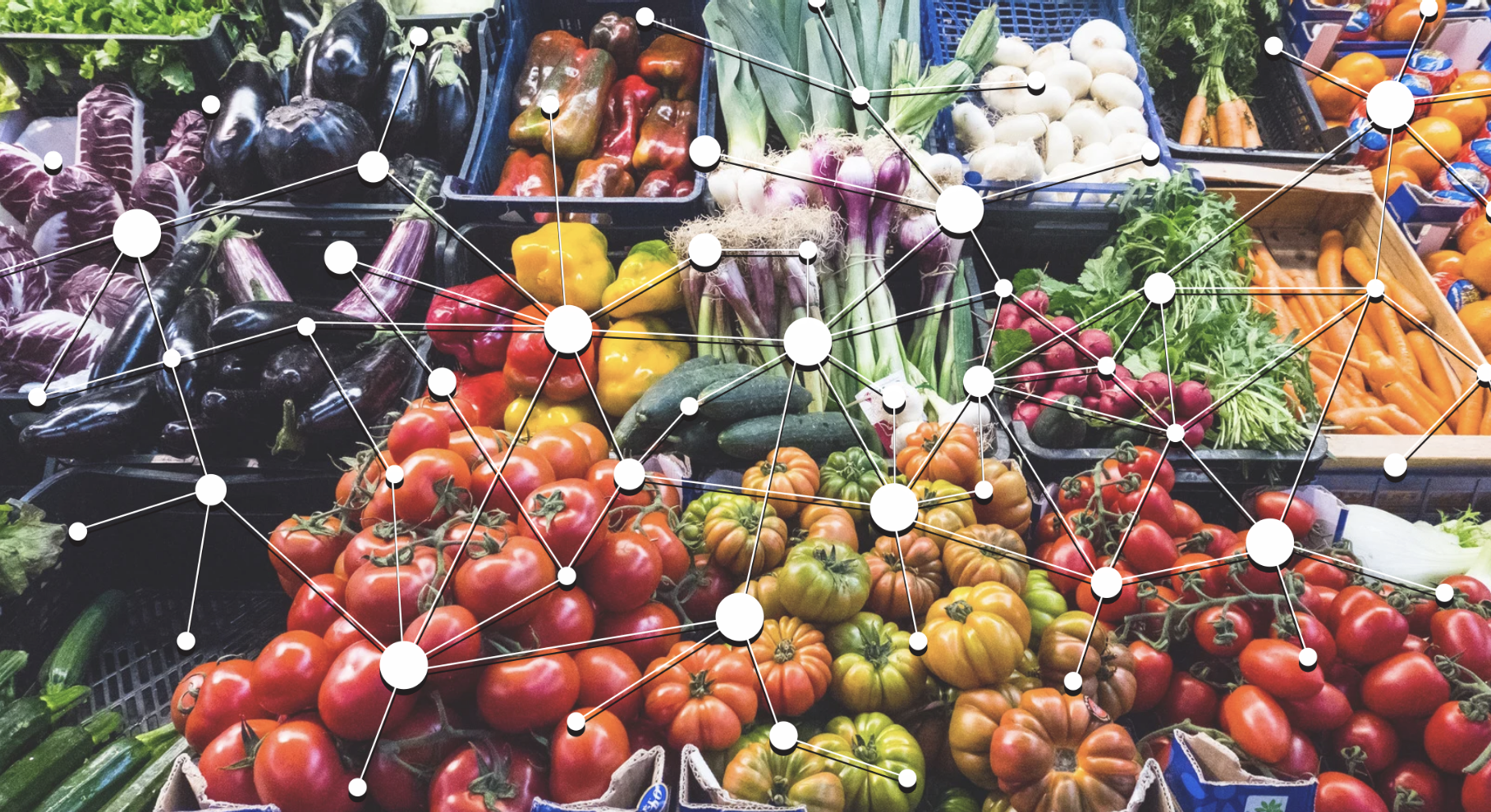 Farmers' market display of local produce with network overlay