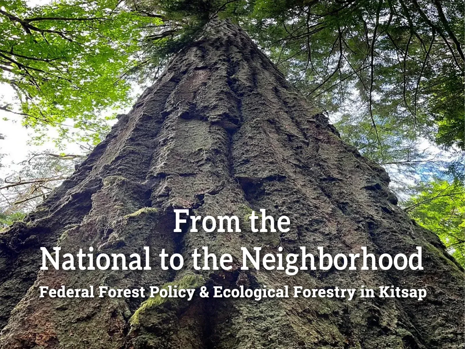 From the National to the Neighborhood