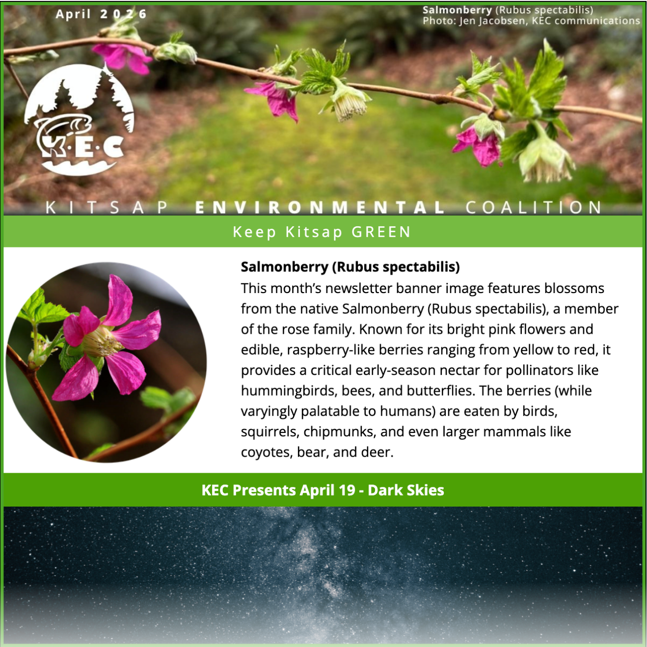 Newsletter image
