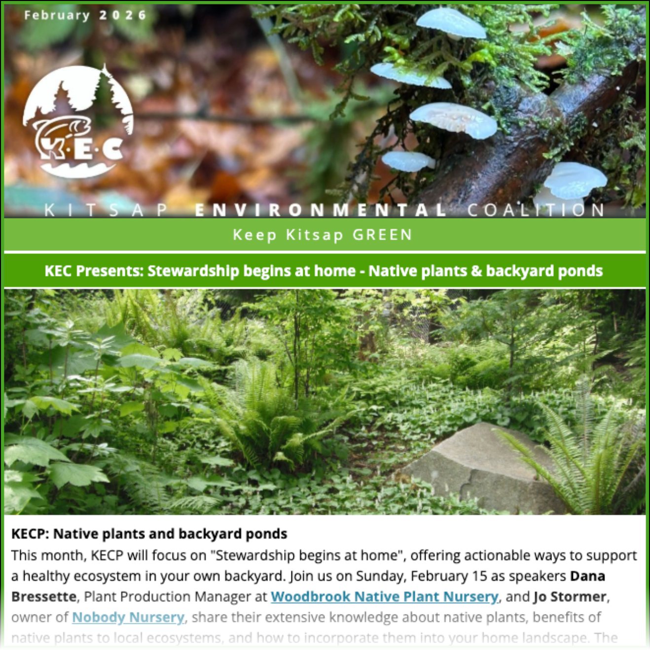 Newsletter preview