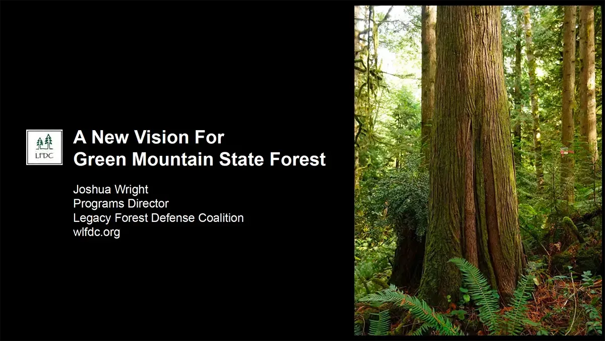 New Vision for Green Mountain State Forest presentation title
