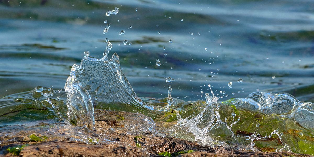 Seawater splashing on a rock covered in seaweed.