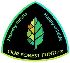 Our Forest Fund