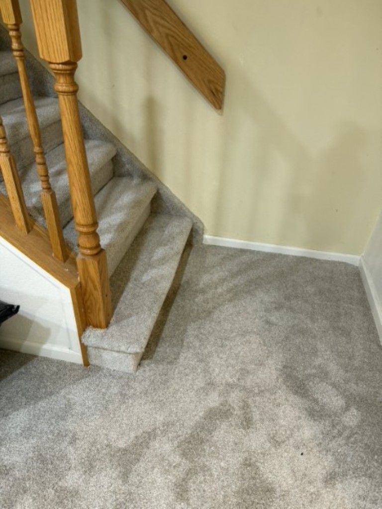 Carpeted stair landing with wooden banister, light gray stairs, and cream walls.