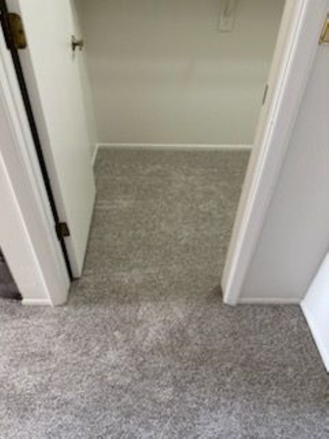 Empty carpeted hallway with white door frames and gray flooring