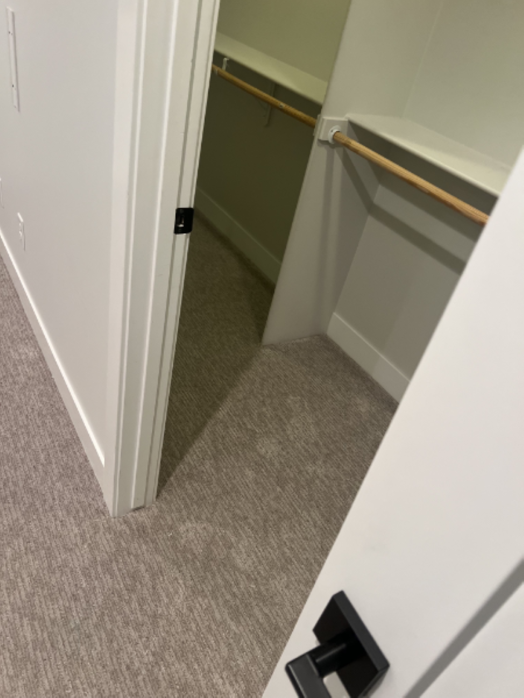 Open closet doorway with beige carpet, white walls, and a wooden handrail inside.