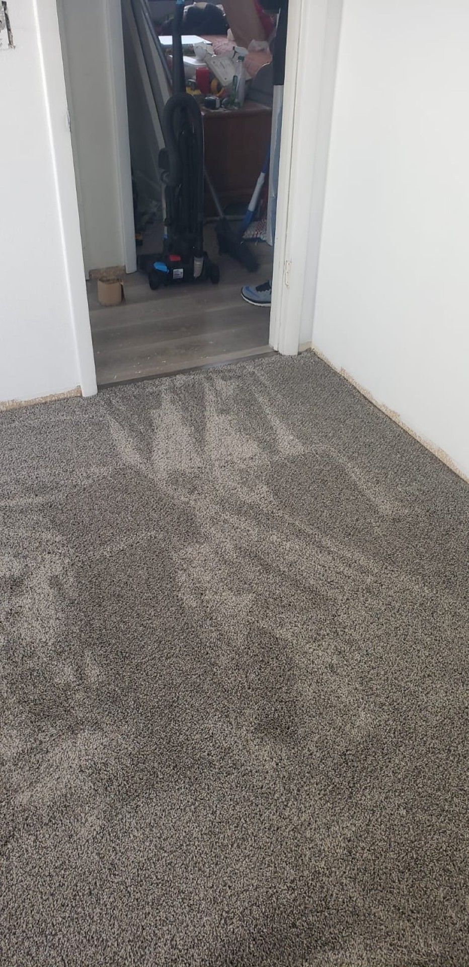 Carpeted hallway with a doorway leading to a closet or storage area.