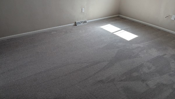 Empty carpeted room with light gray walls and sunlight coming through a window onto the floor