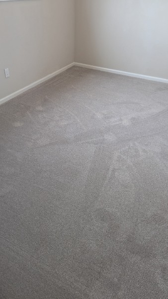 Empty beige carpeted corner of a room with white walls and baseboards, showing visible stains on the floor