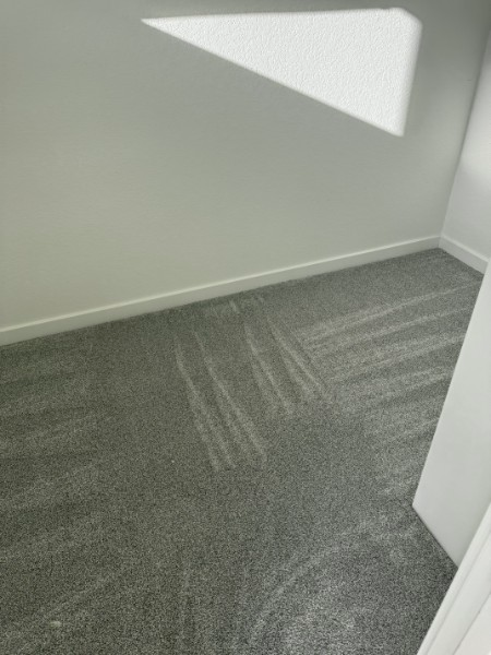 Empty gray-carpeted room corner with white walls and sunlight on the floor.
