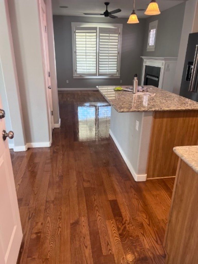 Open kitchen and living area with hardwood floors, granite island, gray walls, and a ceiling fan.