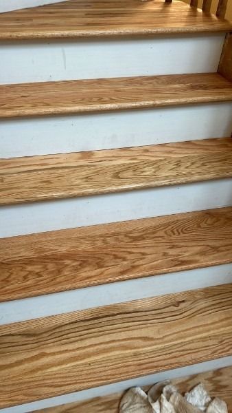 Wooden staircase steps with light blue risers and white trim, viewed from below