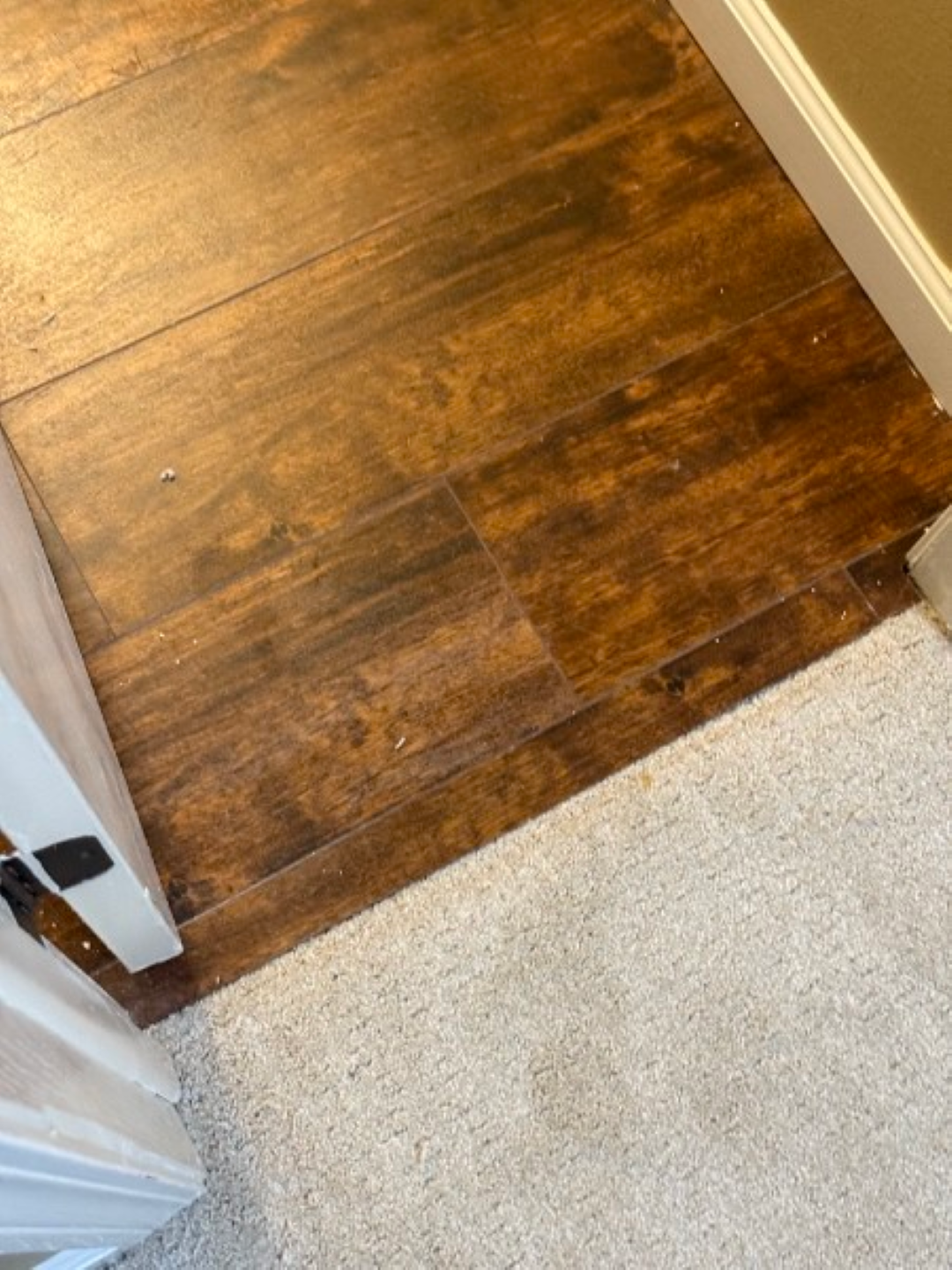 Threshold between light carpet and dark wood floor beside a white doorway
