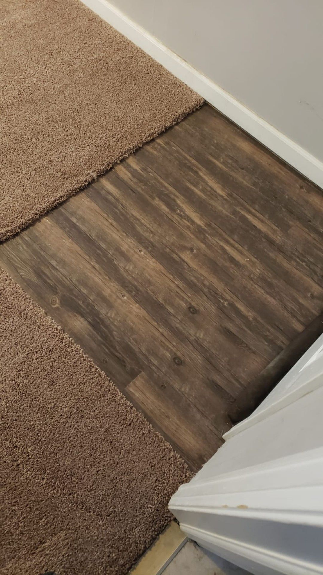 Carpeted hallway with a dark wood floor patch beside a white wall and doorframe