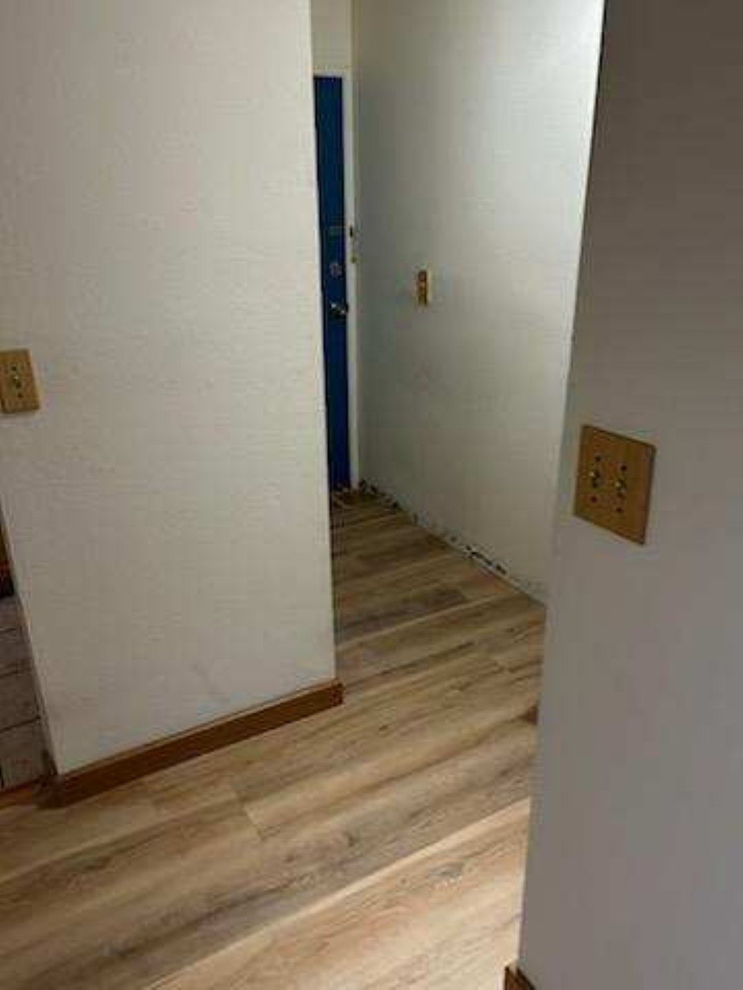 Narrow hallway with light wood floor, white walls, and a blue door at the end