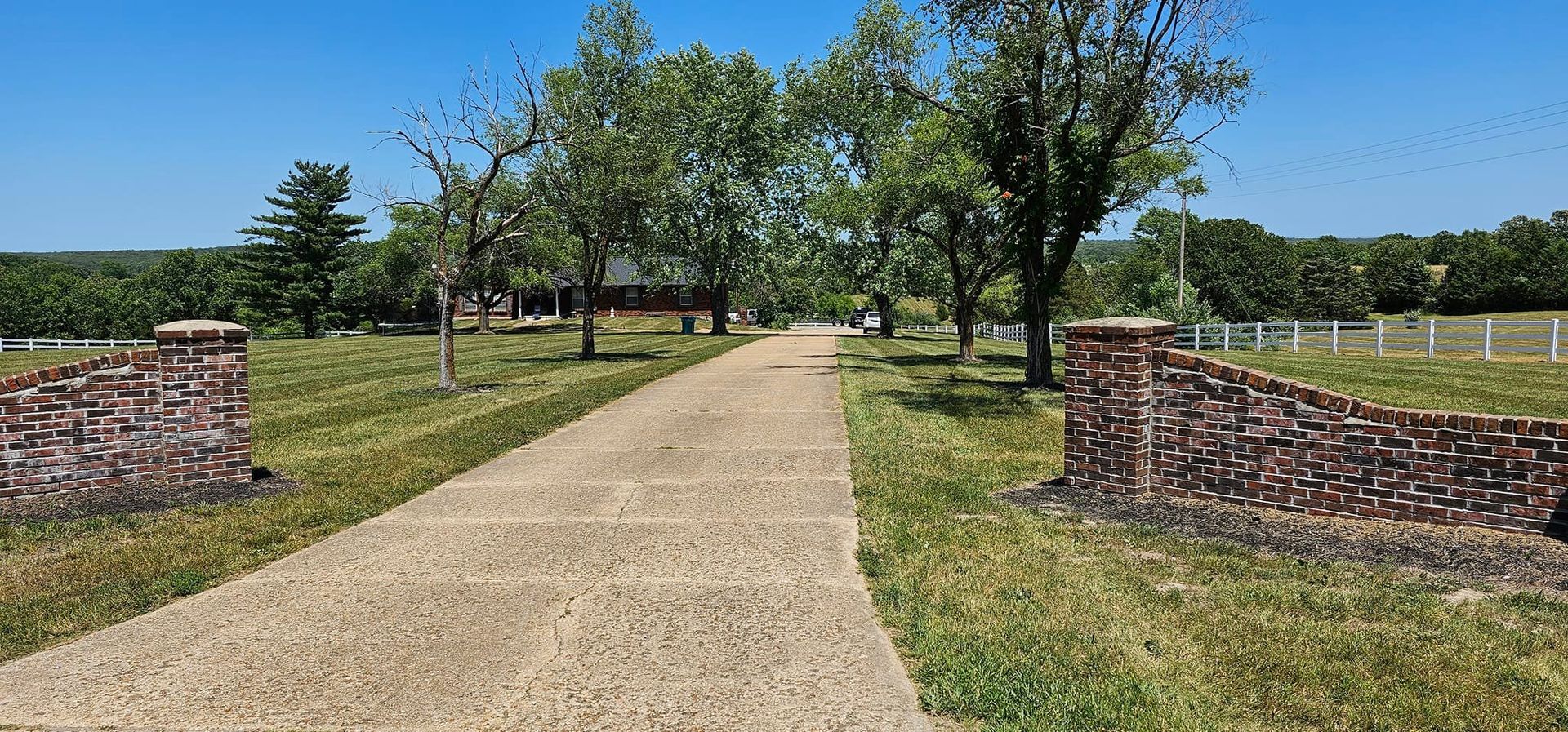 A dirt road going through a grassy field with trees on both sides.
