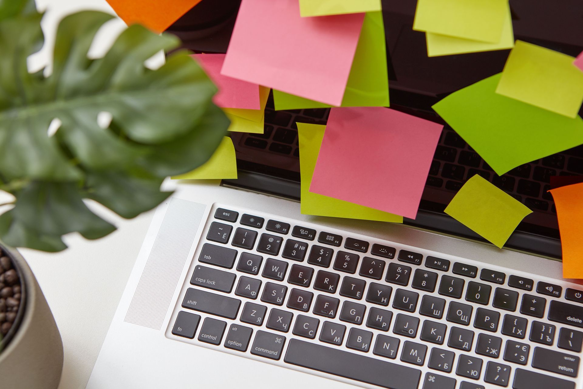Content / Campaign Planning
