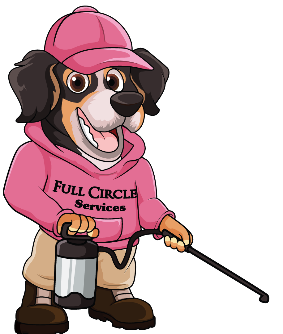 Full Circle Mascot