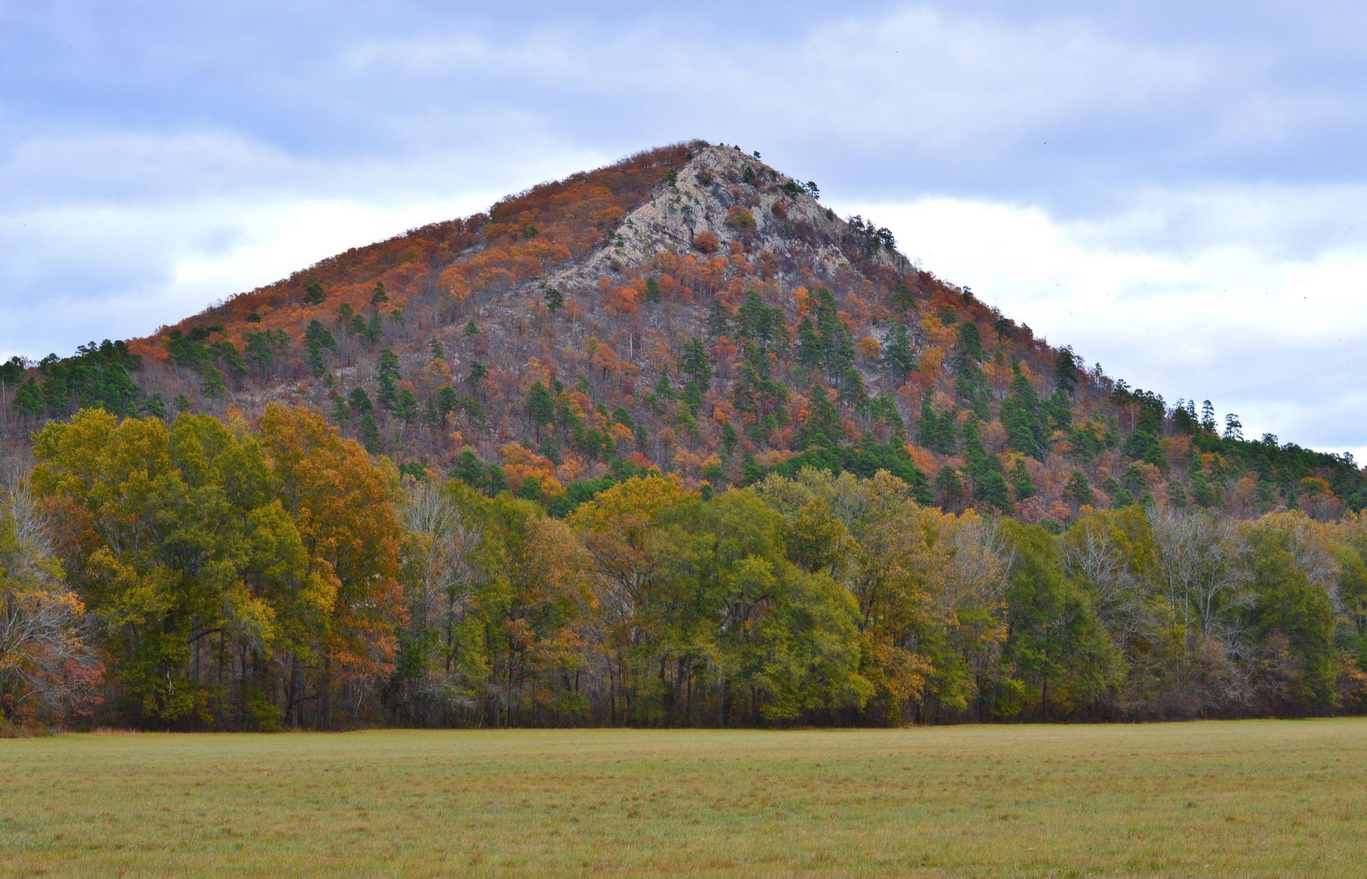 There is a mountain in the background with trees on it and a field in the foreground.