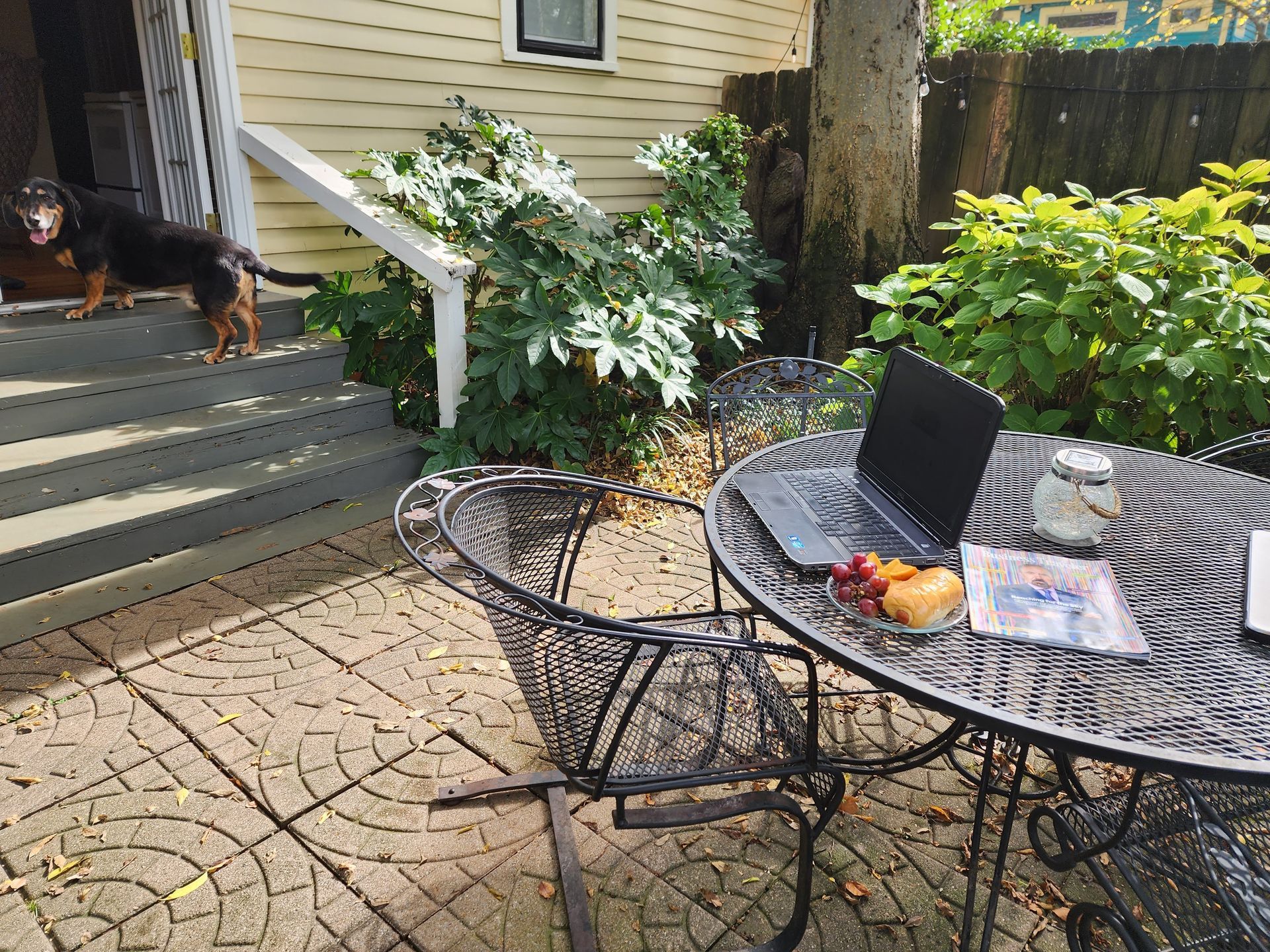 A dog is standing on the steps of a house next to a table with a laptop on it.