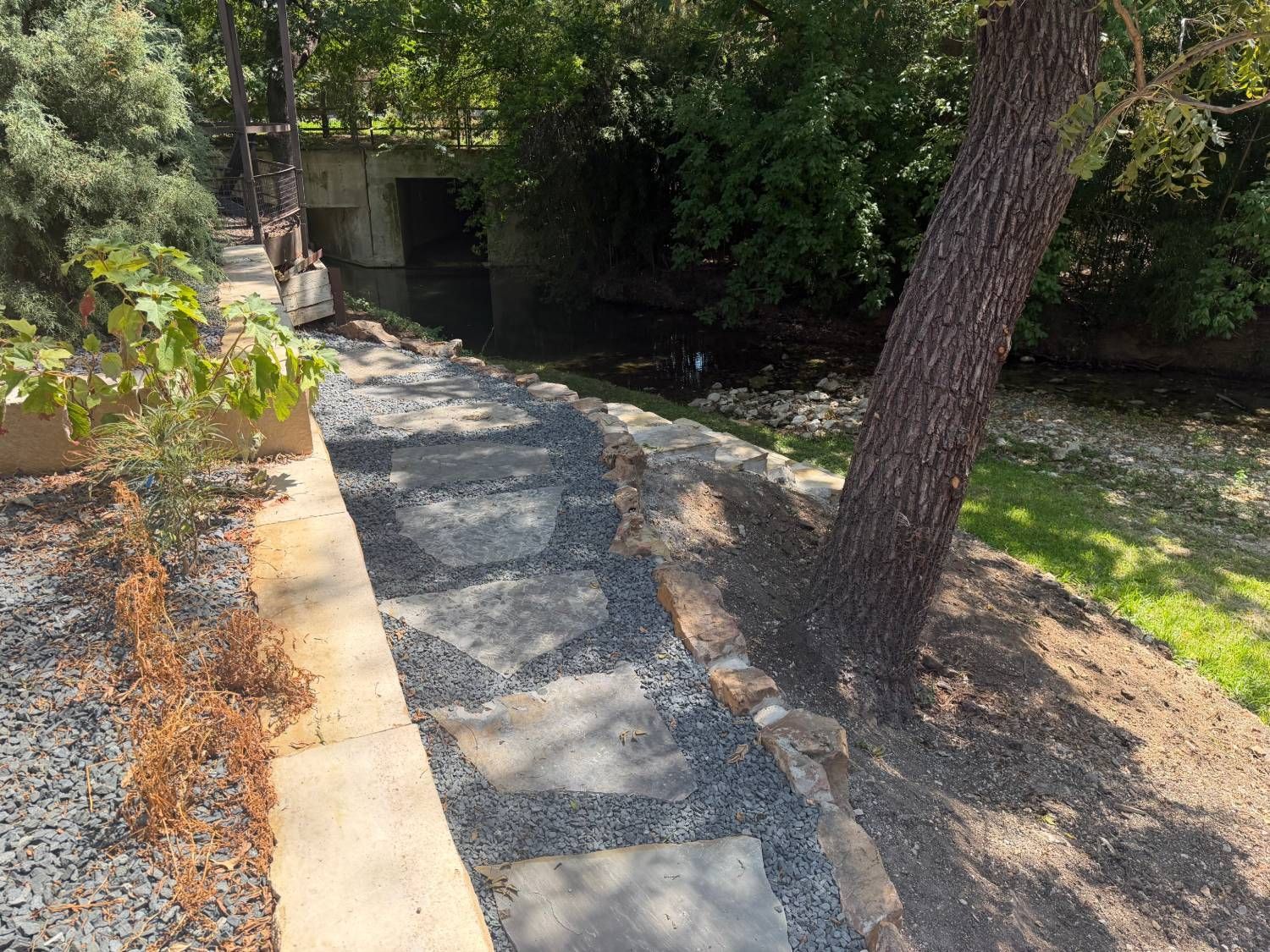 Shaded garden path with stepping stones leading to a dark doorway beside trees and shrubs