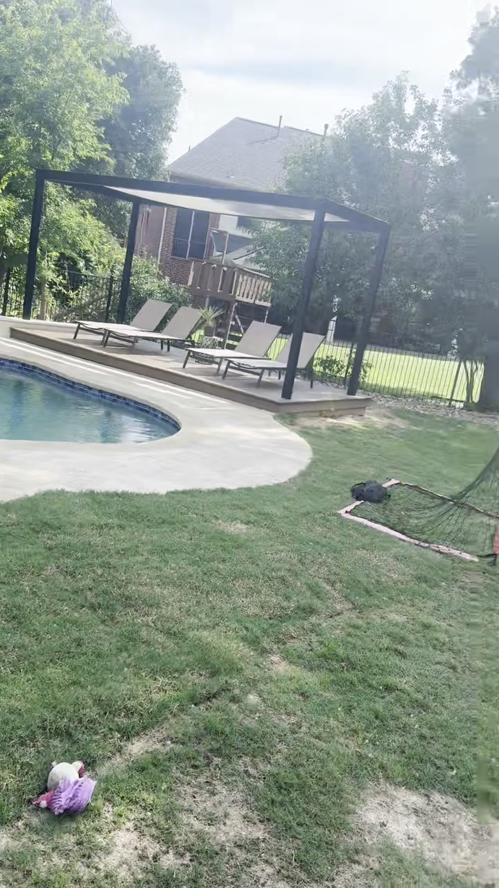 Backyard pool with a pergola lounge area, lawn, and trees in bright sunlight