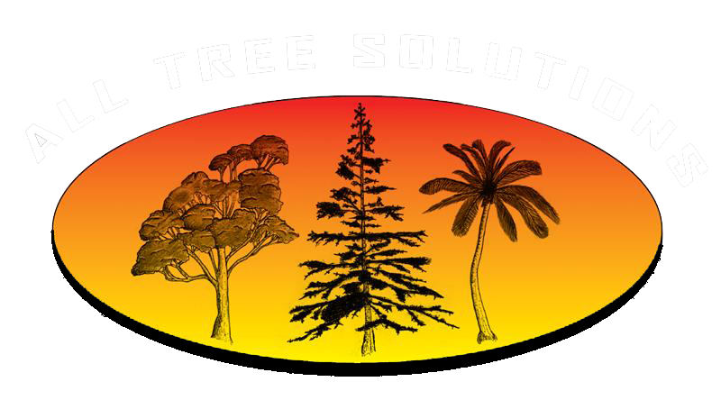 Professional Arborist on the Central Coast Professional Arborist on the Central Coast