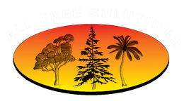 Professional Arborist on the Central Coast Professional Arborist on the Central Coast