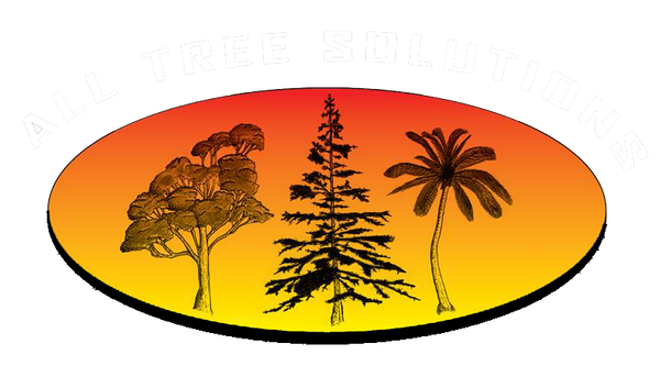 Professional Arborist on the Central Coast Professional Arborist on the Central Coast