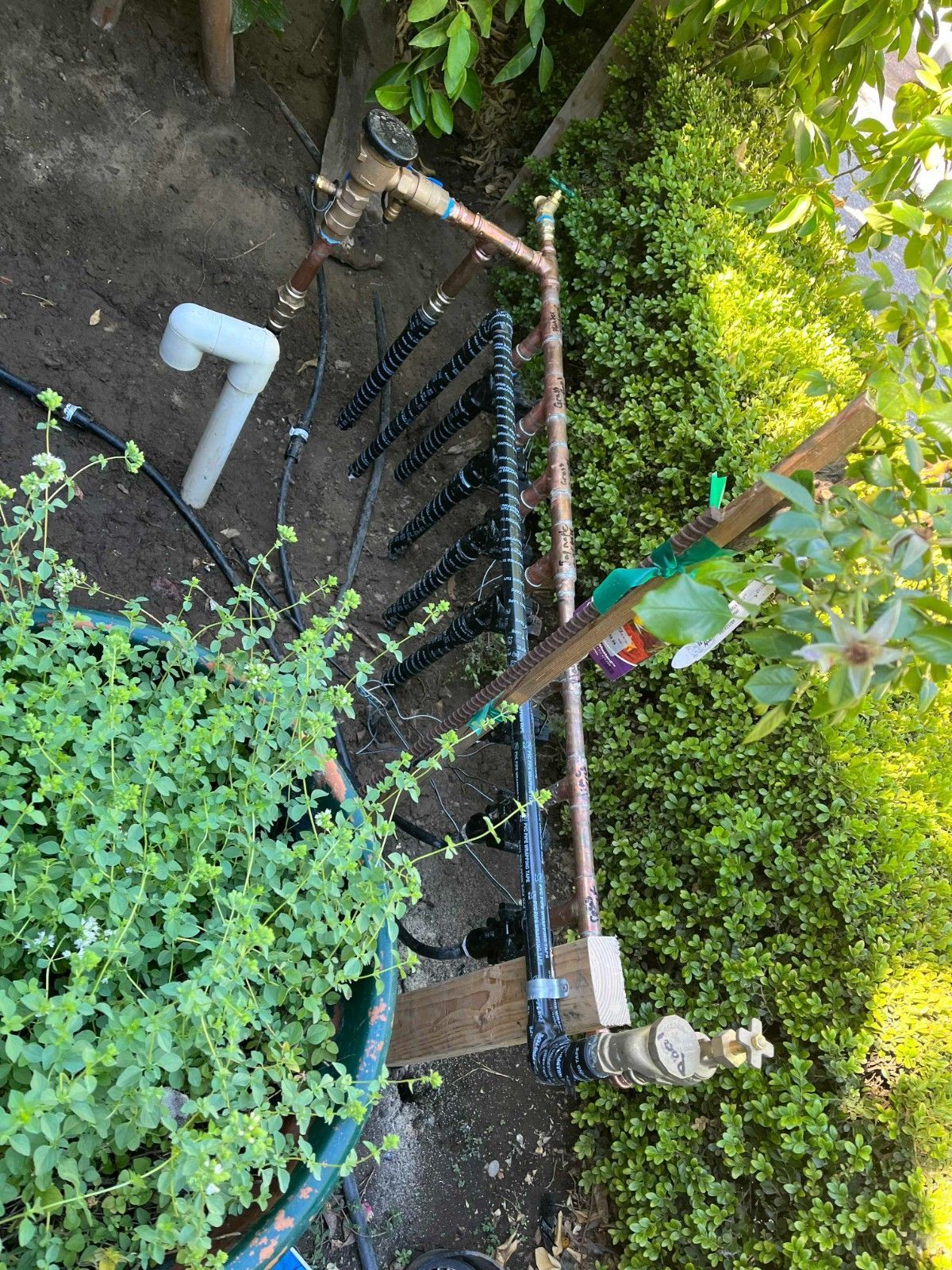 An outdoor irrigation system featuring a copper pipe manifold connected to multiple black solenoid valves in a garden.