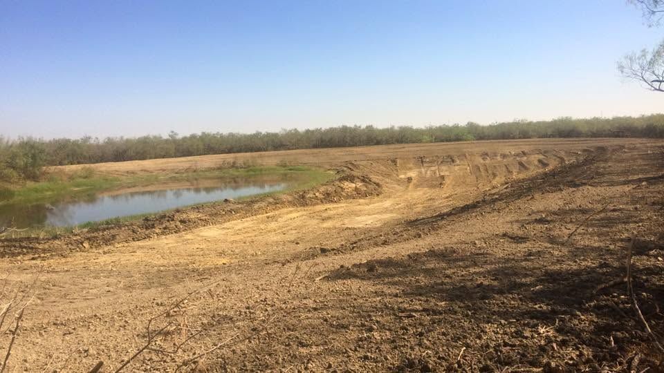 Dry, open field with a small pond on the left and trees along the horizon