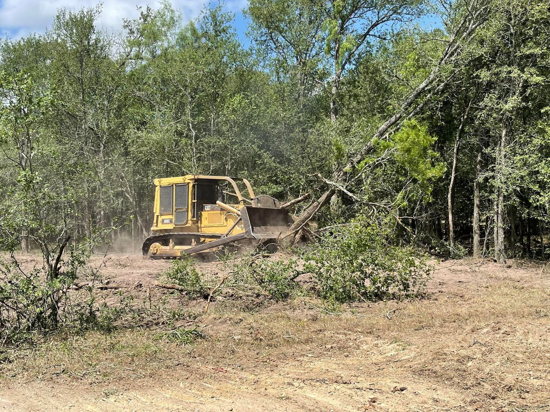 Yellow bulldozer clearing brush in a wooded area under a blue sky