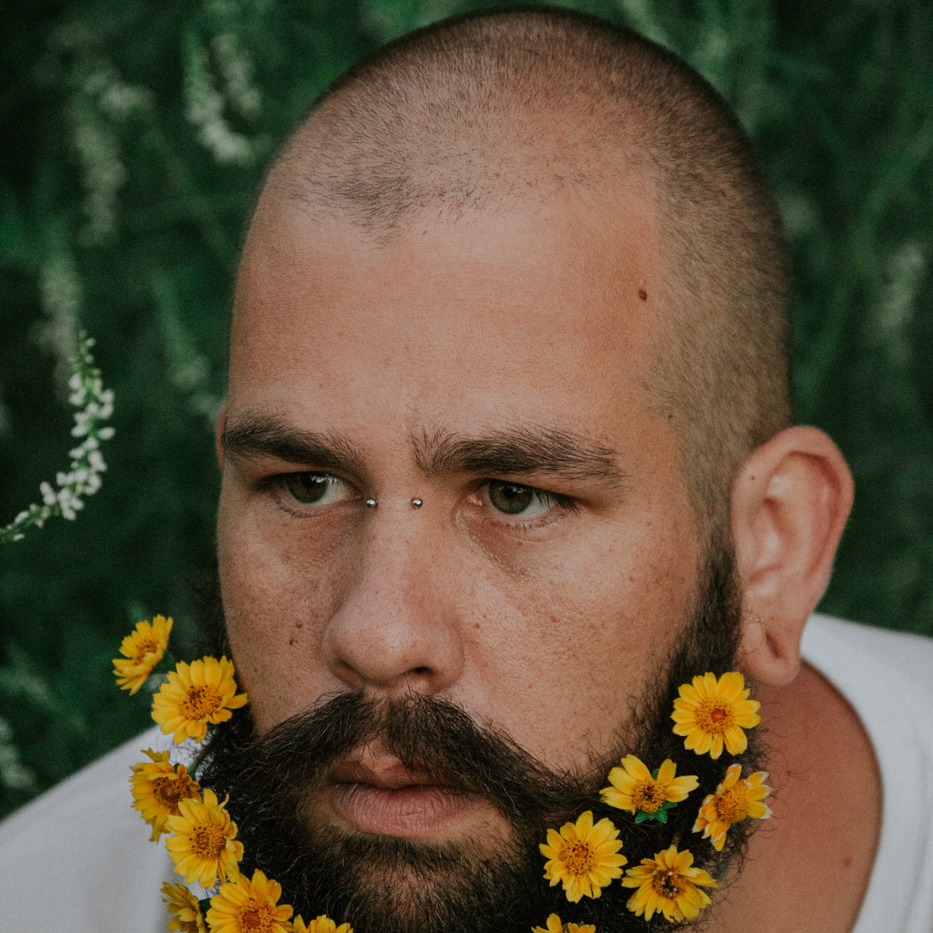 Close-up of a bearded person with yellow flowers in their beard against a green background