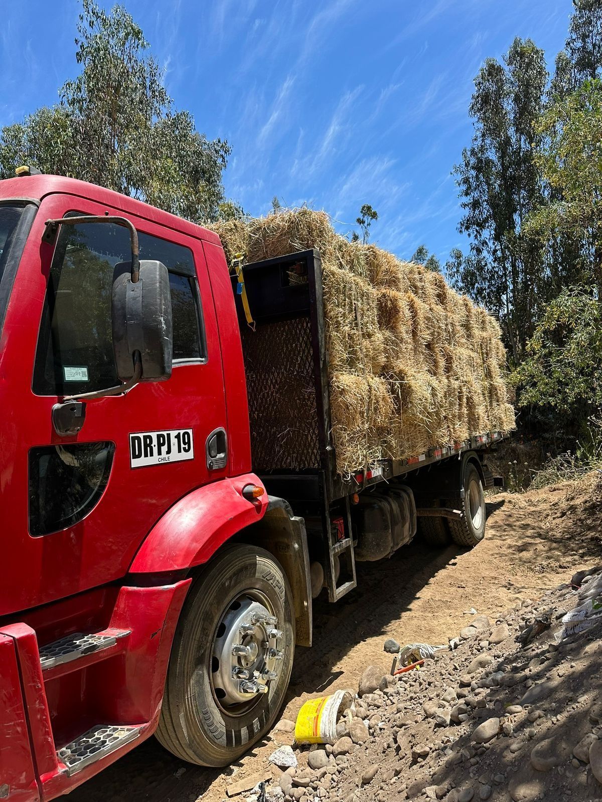 camión rojo con carga