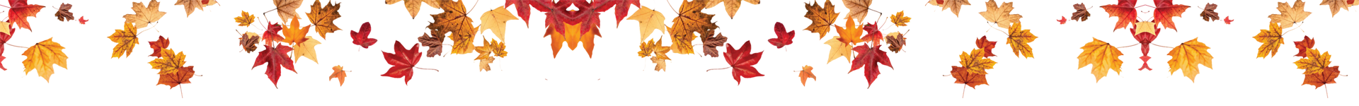 Fall Leaves