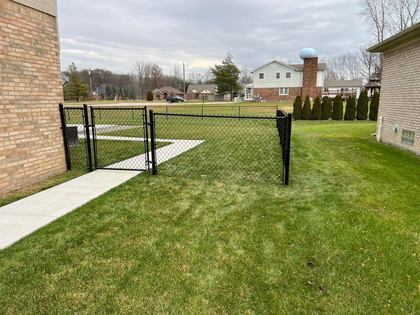 a black chain link fence surrounds a lush green yard.